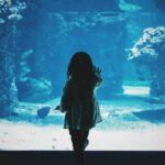 Family Fun in St. Pete & Indian Rocks Beach: Activities for All Ages