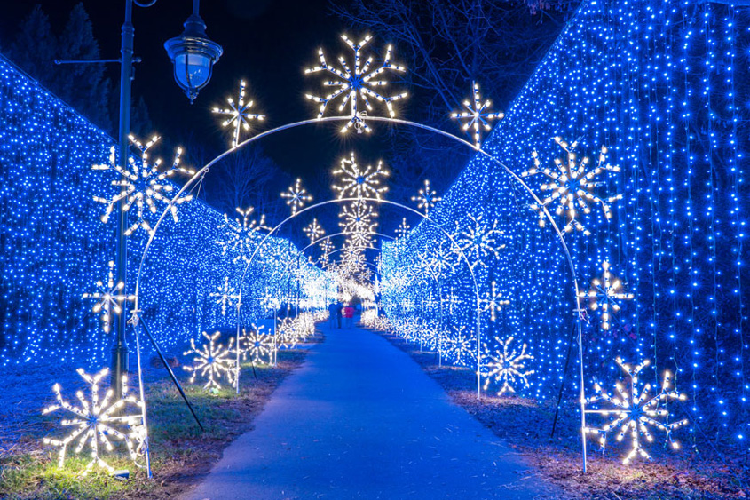 Enchanted Christmas at Anakeesta