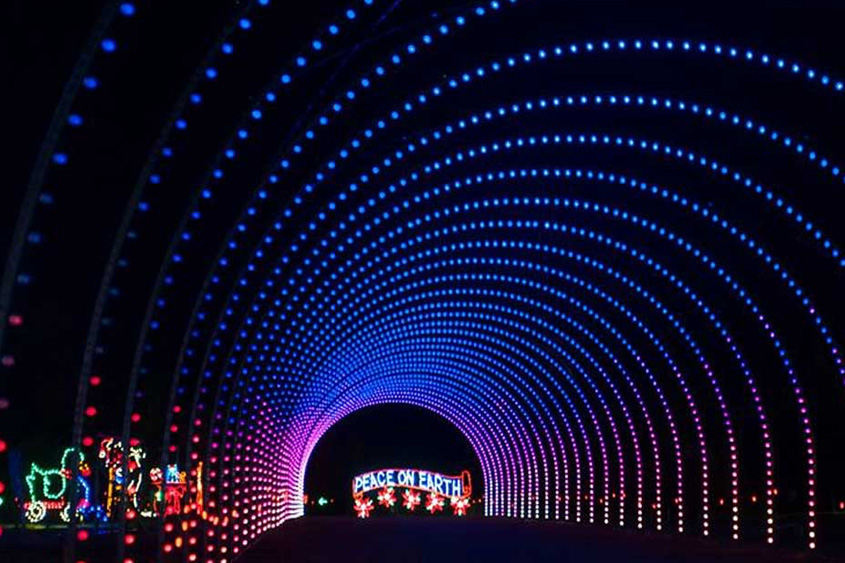 shadrack's christmas wonderland